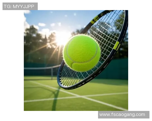 网球爱好者必备指南:从基础技巧到进阶战术全面提升你的网球水平