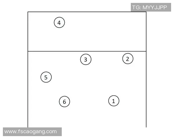 西安排球队在排球比赛中的转换策略分析与成效评估